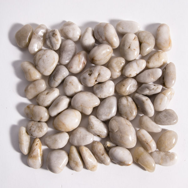 World Menagerie Sousa Pebble Stone Vase Filler & Reviews Wayfair